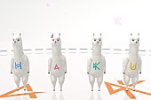 「HaKU 『aDanza』とのコラボMV公開 アルパカが踊る可愛いくコミカルな作品に」1枚目/4