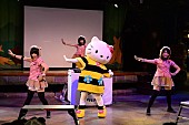 「あゆみくりかまき×キティちゃん コラボレーション実現で子供たちも歓喜」1枚目/9