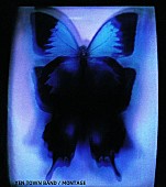 「『スワロウテイル』から20年……YEN TOWN BAND復活 岩井俊二「僕らの中でイェンタウンが再び胎動」」1枚目/1