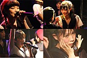「BiSH キュートでマジメなクソアイドルの矜持 聖地での初ワンマン大狂乱＆アイドルシーンに宣戦布告「クソして待ってろ！」」1枚目/39