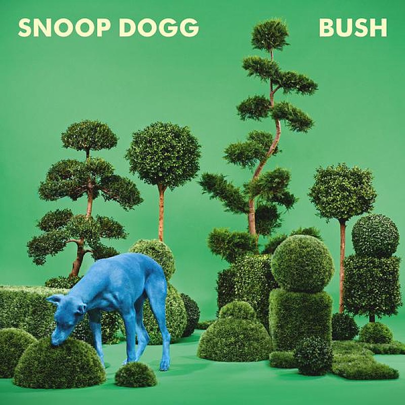 スヌープ・ドッグ「Album Review：スヌープ・ドッグ『Bush』は彼をファンク・ミュージックの後継者に位置づける」1枚目/1