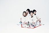 「ねこね、こねこね。「四半世紀カルテット」MV＆Nakajin（SEKAI NO OWARI）からのCD帯コメント公開」1枚目/2
