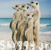 「Shiggy Jr./ジェイソン・デルーロ/AI　今週もビルボードHot100から注目の3曲をご紹介」1枚目/3