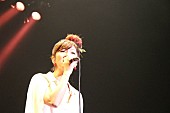 「BONNIE PINK 20周年記念全国ツアー開催決定」1枚目/1