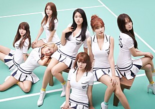 「AOA 米ビルボードで高評価“K-POPガールズグループの中で最高のコンセプト”」