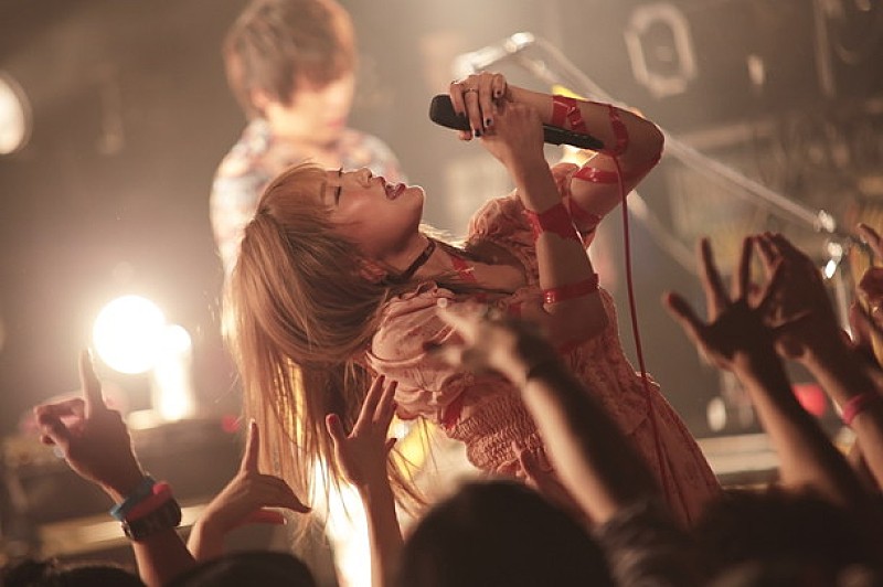 アカシック クアトロワンマン大成功 チャイナドレスや豹柄ホットパンツで大暴れ 