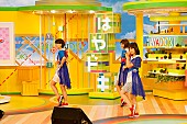 Negicco「TBS系『はやドキ！』出演の模様」5枚目/18