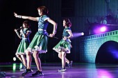 「初の野音ワンマンの写真」12枚目/18