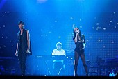 「浜崎あゆみ【a-nation】小室哲哉＆AAA浦田と担ったシーンの大役  Acid Black Cherryはファンとアウェー戦制す」1枚目/16