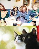 「SCANDAL 感動ニャンダフルストーリー『猫なんかよんでもこない。』主題歌担当＆コメント到着」1枚目/3