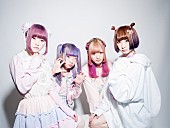 「りなはむ企画“ゆめかわいい”ハロウィンフェス mimmam/BPM15Q/メチャハイ/KissBee/ハルモニら出演」1枚目/15