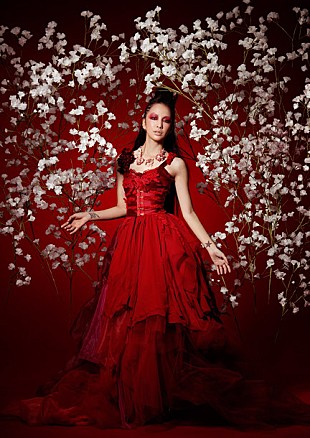 「中島美嘉 樹海を裸足で走りまわる！ 篠原涼子主演ドラマ主題歌MV解禁 」