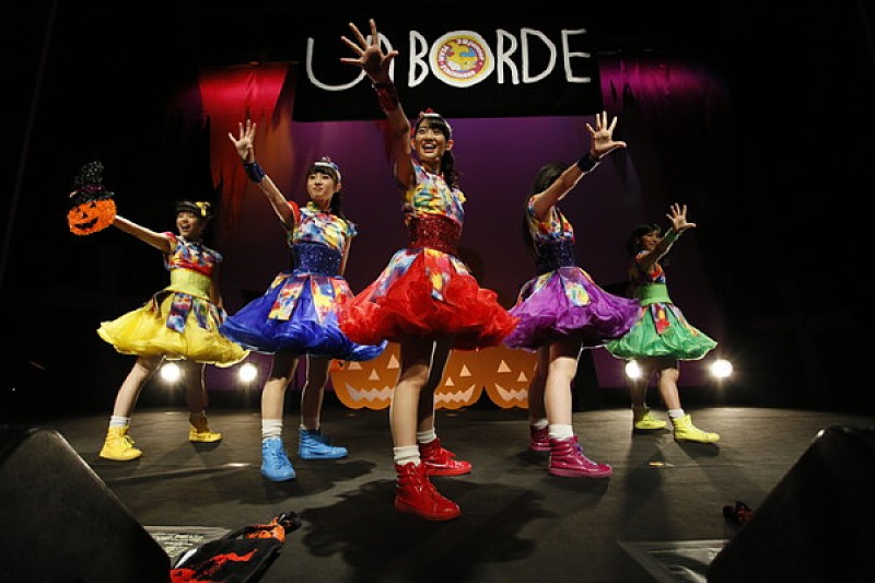 チームしゃちほこ 4年連続で長崎に降臨、真のツアーファイナル？それとも打ち上げ？推し別のファン分析も展開