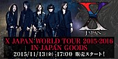 「X JAPAN キレたYOSHIKIがデザインされている『YOSHIKI伝説キレ辛カレーチップス』等ツアーグッズ先行販売」1枚目/1