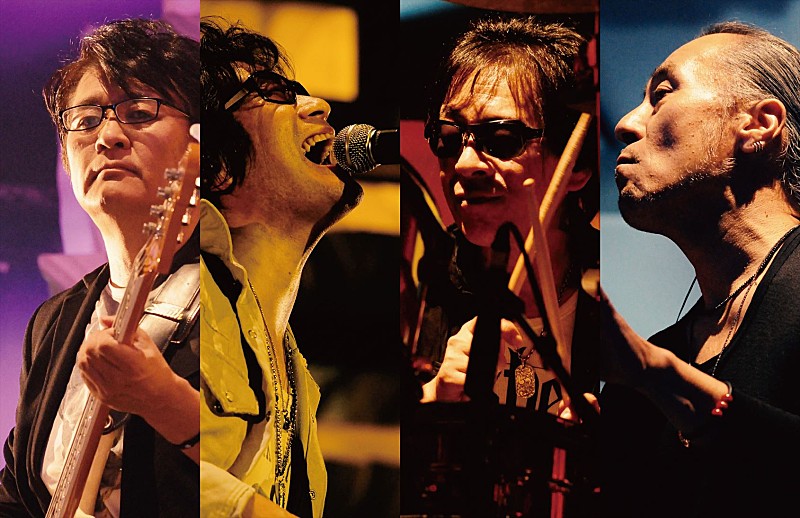 「飲酒運転撲滅を誓う『LIVE SDD 2016』出演アーティスト発表！」1枚目/5