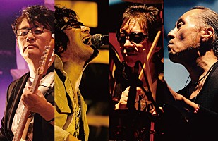 飲酒運転撲滅を誓う『LIVE SDD 2016』出演アーティスト発表！ | Daily  