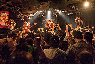 「女性ファッション誌も注目の？井乃頭蓄音団 最多出場の【下北沢にて'15】で今年も圧巻アクト」