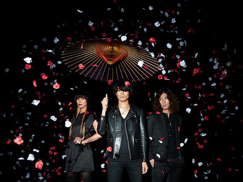 「a flood of circle 10周年企画の一環として初の海外公演決定」1枚目/1