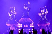 「BABYMETAL、来年4月に新アルバムの世界同時発売が決定　東京ドームワンマンをふくむワールドツアーも開催」1枚目/1