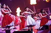 「サンタ姿の乃木坂46 日本武道館2Days20,000人動員　紅白では「君の名は希望」を披露決定」1枚目/8