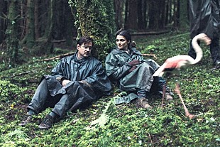 「コリン・ファレル新作『ロブスター』 45日で恋人が見つからなければ動物に変身!? 衝撃の予告編が公開」