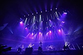 「FTISLAND「音楽を一生懸命やって、ここに戻りたかった」武道館公演の放送決定」1枚目/6