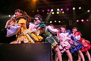「カワイイ！新世代王道アイドル“神宿”1000人超規模ワンマン大成功 初の東名阪ツアーなど飛躍の2016年開幕」
