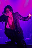 「VAMPS ツアー名古屋公演でアポカリプティカを迎え「SIN IN JUSTICE」披露 レポート到着」1枚目/5