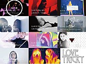 「大塚 愛 ミュージック・ジャケット大賞候補作品『LOVE TRiCKY』インタビュー動画10本一挙公開」1枚目/3