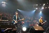 「飲酒運転撲滅を誓う“LIVE SDD 2016”大阪城ライブレポート」1枚目/14