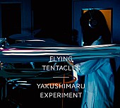 「やくしまるえつこ“Yakushimaru Experiment”素数の人力聴覚化楽曲『ウラムの螺旋より』MV公開」1枚目/12