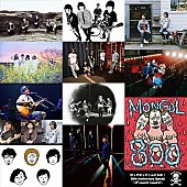 「スピッツ主催イベ20周年記念SP ミスチル/奥田民生/真心/RADWIMPSら豪華出演者発表」1枚目/2