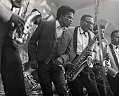 「ジェームス・ブラウンの伝記映画へ岡村靖幸、横山剣、オカモトショウなどがコメント」1枚目/3