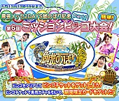 「チームしゃちほこ、ライブイベント【鯱のぼり】のキャンペーン企画がゲームアプリ内で開催！」1枚目/18