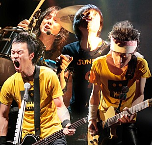 「音楽イベント【TUMBLING DICE 6】ザ・クロマニヨンズ、THE BACK HORN、サンボマスターが出演」