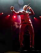 「7年ぶりの新作を引っさげ、マックスウェルの初来日公演が決定」1枚目/1