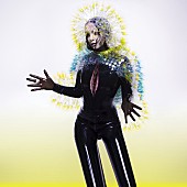 「VR展示プロジェクト「Bjork Digital」日本で開催決定、オープニング・パーティでビョーク自らDJ」1枚目/1