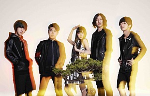 「パスピエ 新シングル曲「永すぎた春」ラジオでフル解禁！ 【印象E】東京公演生配信も決定」