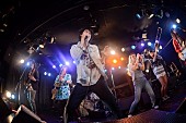 「黒猫チェルシー、最新SGリリースツアーでオレスカバンドと共演」1枚目/6