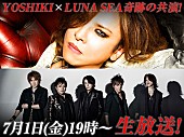 「YOSHIKI（X JAPAN）× RYUICHI＆J（LUNA SEA）ニコ生特番決定」1枚目/1