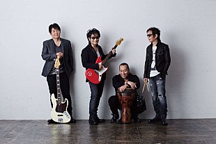 「デビュー35周年のスターダスト☆レビュー リリース間近のライブ映像ダイジェスト先行配信スタート」