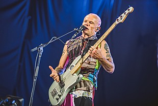 「レッチリ、空港でメタリカと間違えられるもサインに応じる」