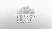 「サカナクション主催【SAKANATRIBE】Ichiro Yamaguchi/Qrion/砂原良徳（ex.電気グルーヴ）ら12組生中継」1枚目/1