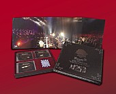 「『奥田民生 生誕50周年伝説 “となりのベートーベン”』ジャケ写公開！ 超豪華パッケージ受付終了迫る!!」1枚目/4