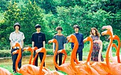 「Czecho No Republic メンバーが渋谷や砂浜でダンス！ 新譜収録曲「Dream Beach Sunset」MV公開」1枚目/2