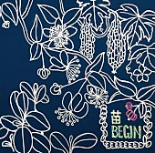 「BEGIN、沖縄限定シングルを9/16リリース」1枚目/2