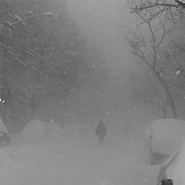 「宙に浮くようなザ・ウィークエンドのファルセットとメロウ・トラックに浸る…新進気鋭プロデューサー＝カシミア・キャット「ワイルド・ラブ」(Song Review)」1枚目/1