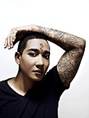 「ダンスホール・クイーン、ダイアナ・キングの来日公演が決定　大阪はカウントダウン公演」1枚目/1