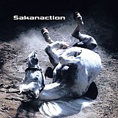 「サカナクション、新曲「多分、風。」9月29日に初OA」1枚目/3