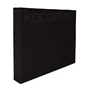 「bloodthirsty butchers 不朽の名作『kocorono』20周年記念「最終盤」は“漆黒の貼り箱仕様”」1枚目/2